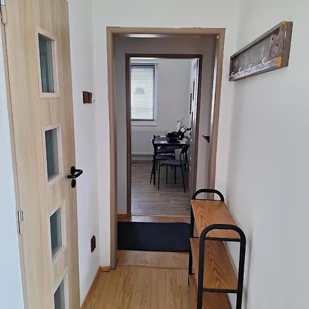 Iveta Petrovice (Usti nad Labem)